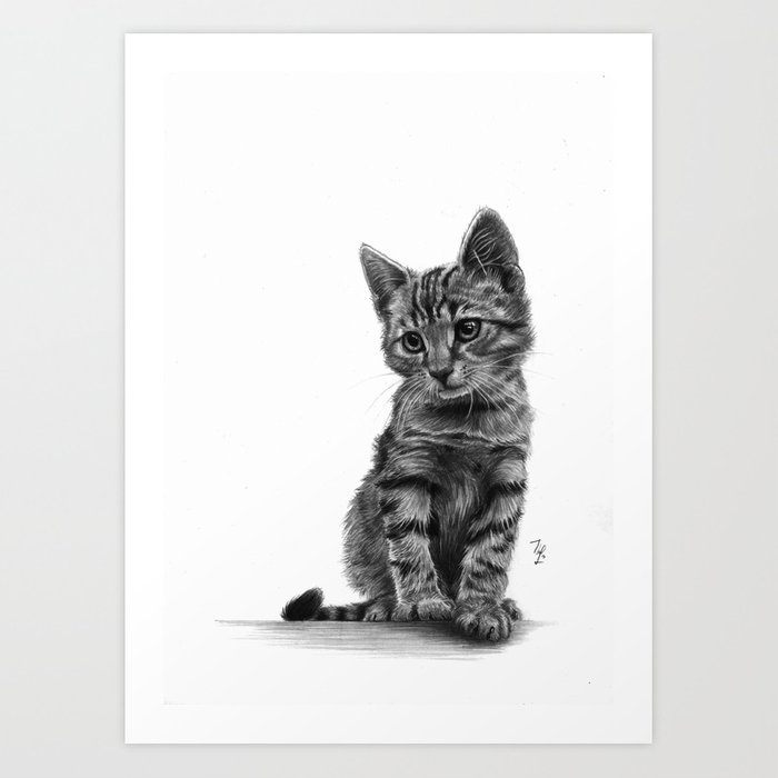 700x700 Kitty - Kitten Pencil Drawing