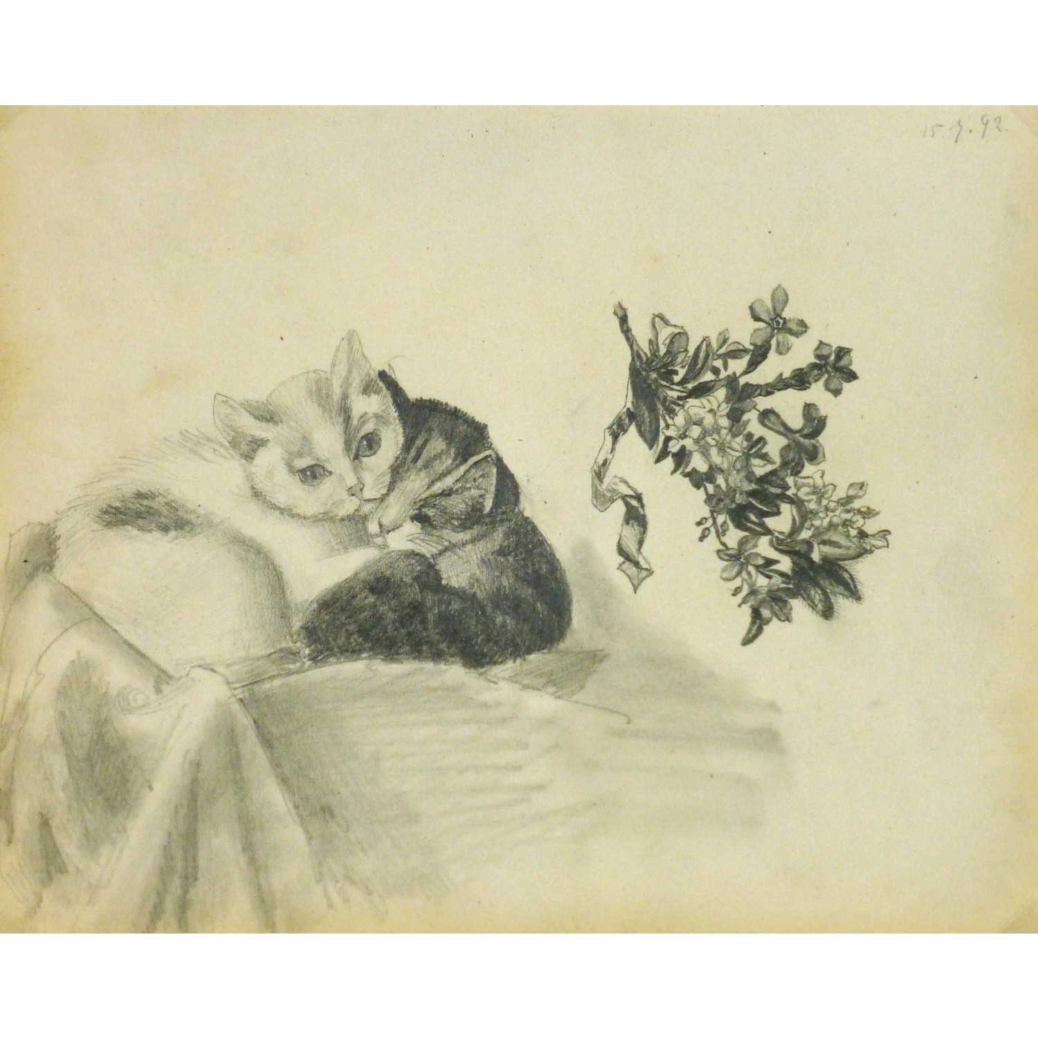 1500x1500 Pencil - Kitten Pencil Drawing