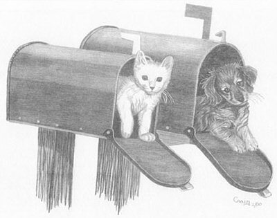 400x315 puppy and kitten in mailbox pencil sketch - Kitten Pencil Drawing