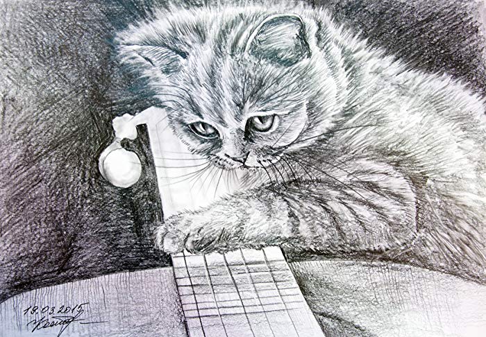 700x486 A Kitten With A Guitar Original Cat Watercolor Pencil - Kitten Pencil Drawing