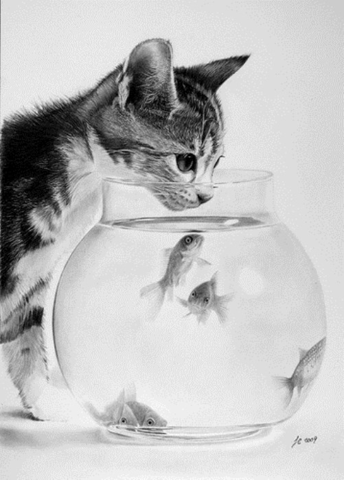 501x700 Beauty Will Save The World - Kitten Pencil Drawing