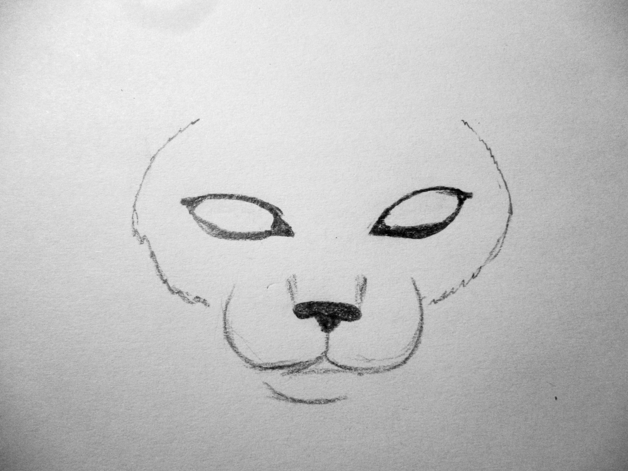 2048x1536 Kitty Cat Batches Of My Sketches - Kitty Cat Drawing