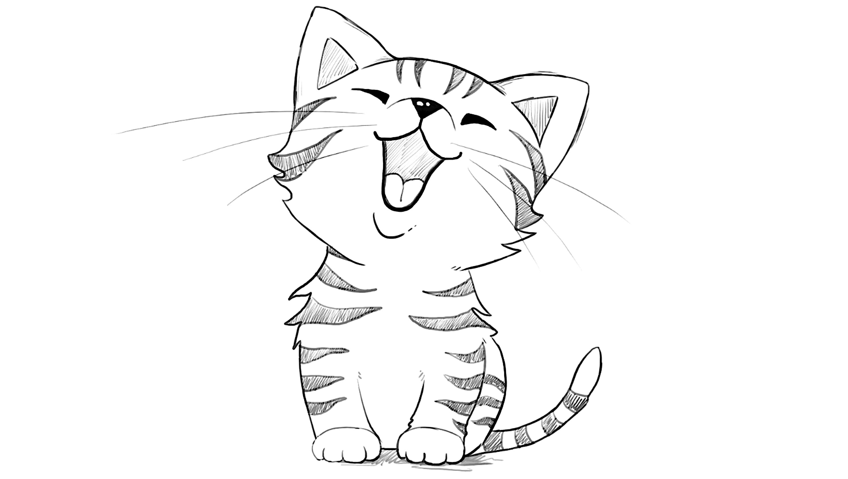 2960x1672 Kitten Drawing Kitty For Free Download - Kitty Drawing