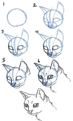 236x388 How To Draw Cat Facesheads Side View Art In Drawings - Kitty Face Drawing
