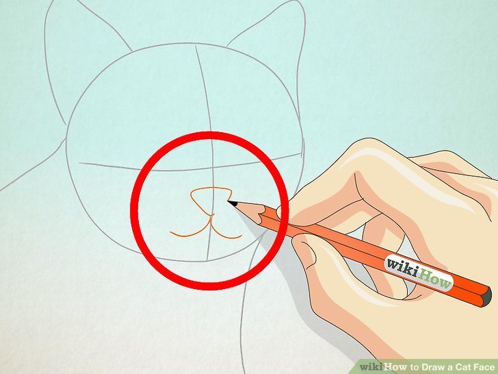 728x546 How To Draw A Cat Face Steps - Kitty Face Drawing