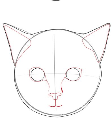 396x416 Photos How To Draw A Realistic Cat Face - Kitty Face Drawing