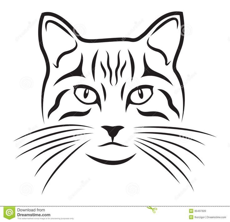 736x711 Na Cat Face Drawing Na U - Kitty Face Drawing