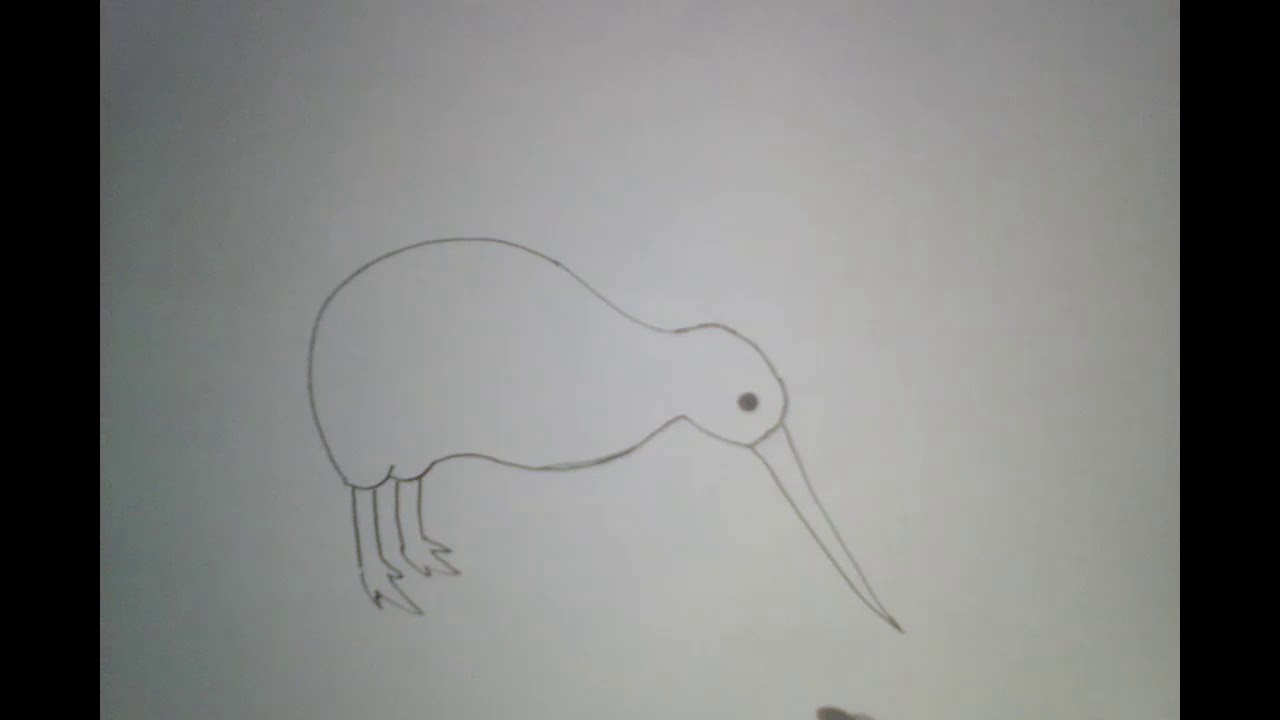 1280x720 How To Draw A Cute Kiwi Birds - Kiwi Bird Drawing