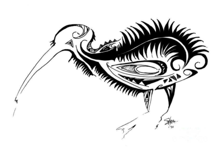 900x621 Kiwi Bird Drawing - Kiwi Bird Drawing