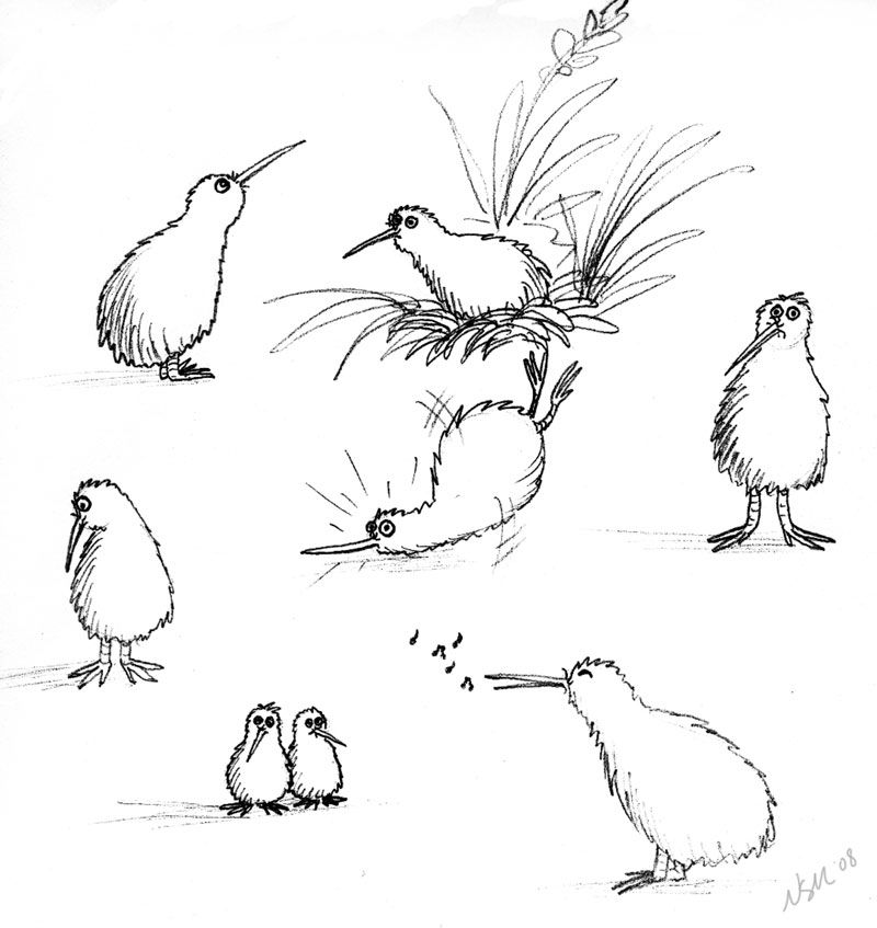 800x847 Kiwi Sketches A Minor Obsession Piercings And Tattoos Bird - Kiwi Bird Drawing