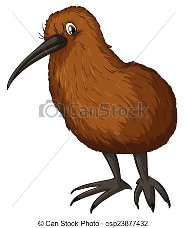 387x470 Kiwi Bird Illustration Of A Close Up Kiwi Bird - Kiwi Bird Drawing