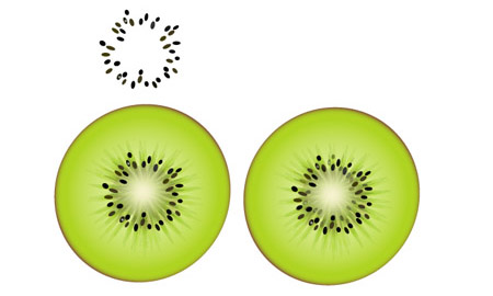 450x270 illustrator tutorial how to draw a vector kiwi - Kiwi Drawing