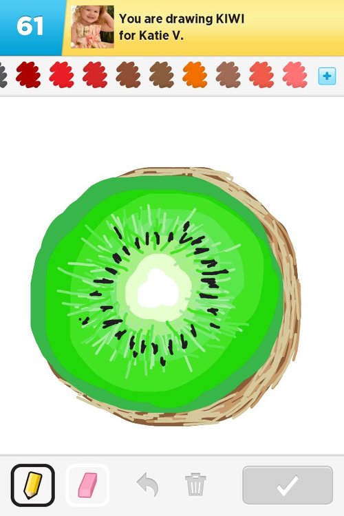 500x750 kiwi drawings - Kiwi Drawing
