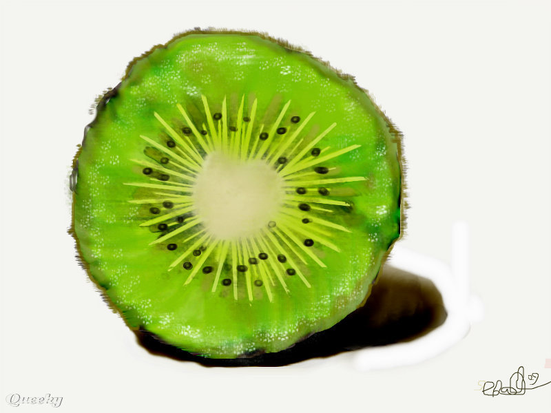 800x600 kiwi a still life speedpaint drawing - Kiwi Drawing