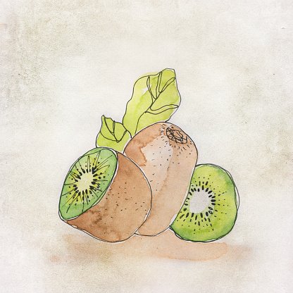 416x416 Green And Brown Kiwi Fruit Water Color Illustration Stock Vectors - Kiwi Fruit Drawing