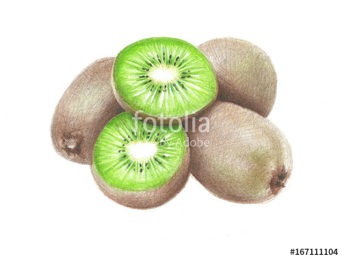 500x378 Hand Drawing Kiwi Fruit Stock Photo And Royalty Free Images - Kiwi Fruit Drawing