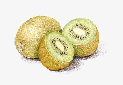 400x276 hand painted kiwi, kiwi clipart, creative fruit, drawing fruit png - Kiwi Fruit Drawing