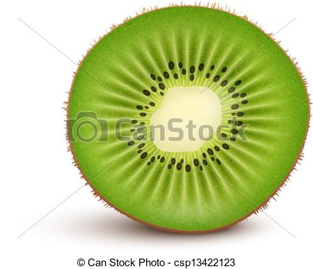 450x386 Huge Collection Of 'kiwi Fruit Drawing' Download More Than - Kiwi Fruit Drawing