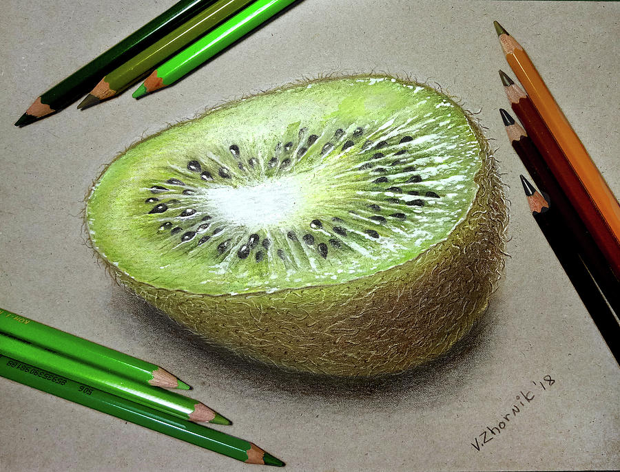 Kiwi Fruit Drawing at Explore collection of Kiwi