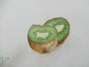 300x225 Kiwi Fruit Drawings Fine Art America - Kiwi Fruit Drawing