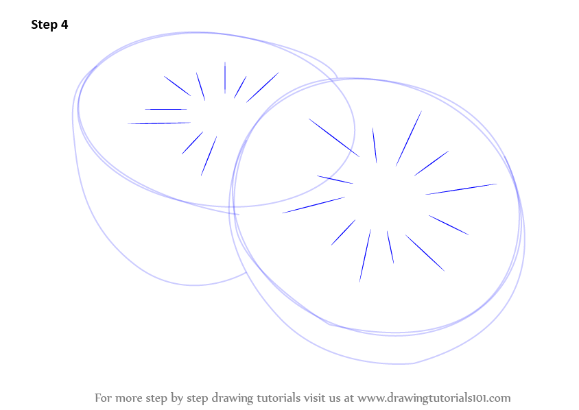 844x598 Learn How To Draw Kiwi Fruit - Kiwi Fruit Drawing