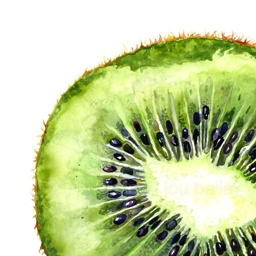 Kiwi Fruit Drawing at PaintingValley.com | Explore collection of Kiwi Fruit Drawing