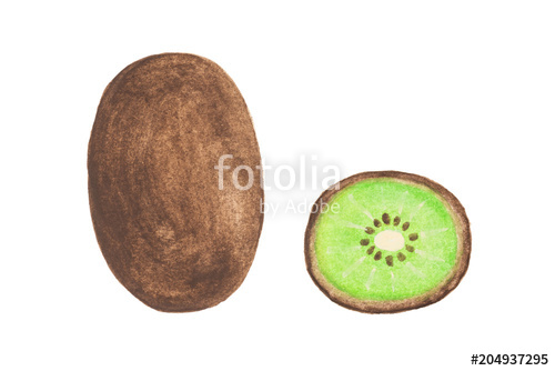 500x334 Sliced Watercolor Kiwi Fruit Isolated On White Background Drawing - Kiwi Fruit Drawing