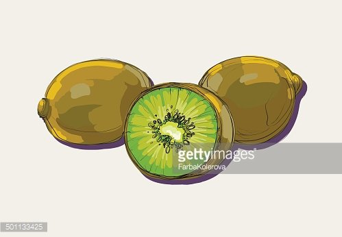 499x346 Vector Drawing Of Kiwi Premium Clipart - Kiwi Fruit Drawing