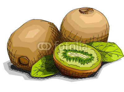 400x299 Vector Illustration Of Drawing Fruit Kiwi Buy Photos Ap - Kiwi Fruit Drawing