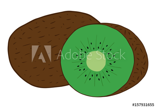500x347 Whole And Cut In Half Kiwi Fruit Vector Illustration Doodle - Kiwi Fruit Drawing