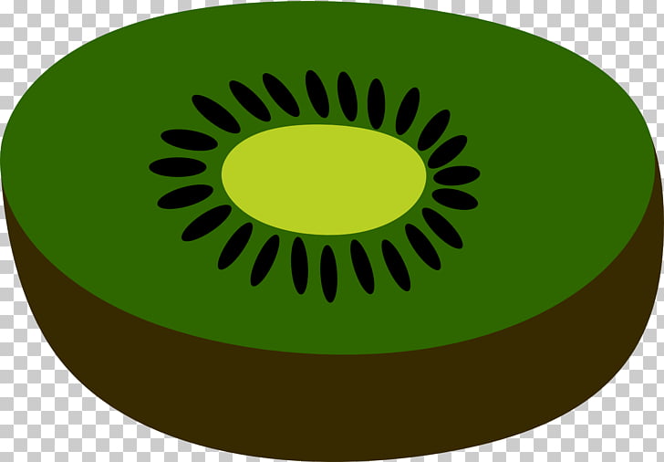 728x506 Drawing Kiwifruit, Others Png Clipart Free Cliparts Uihere - Kiwi Fruit Drawing