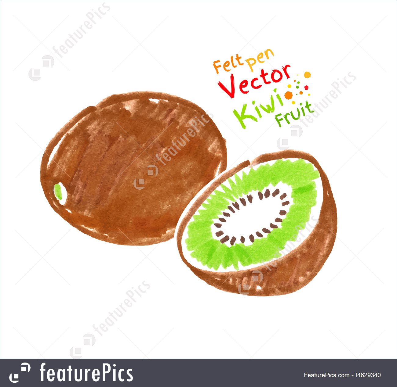 1300x1269 Food Kiwi Fruit - Kiwi Fruit Drawing