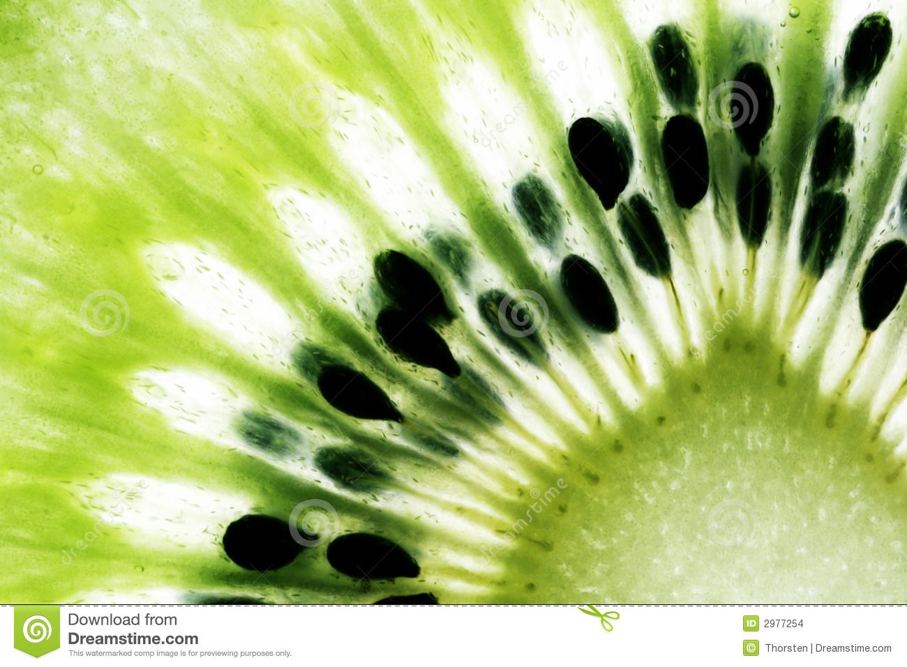 1300x957 Fruit Close Up Drawing Close Up Of The Centre Of A Slice Of Kiwi - Kiwi Fruit Drawing