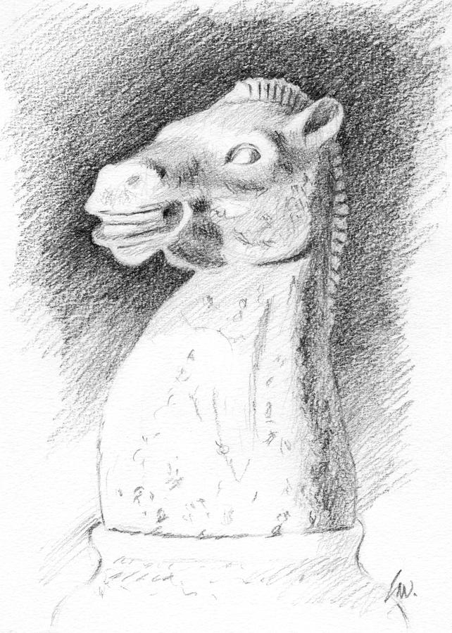 642x900 knight chess piece drawing - Knight Chess Piece Drawing