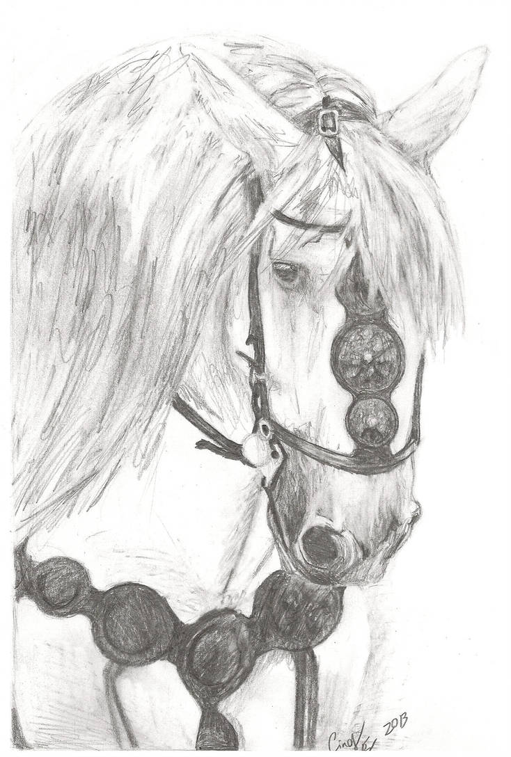 734x1088 knight on horse drawing with medieval knight on horse vintage - Knight On Horse Drawing