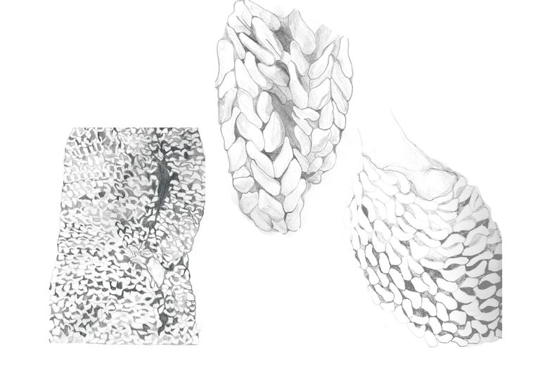 768x543 knitting drawing knitwear for free download - Knitting Drawing