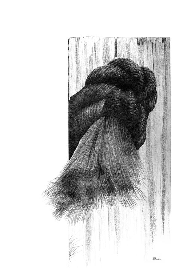 634x900 Knot Drawing - Knot Drawing