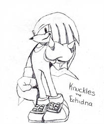 210x250 Knuckles The Echidna - Knuckles The Echidna Drawing