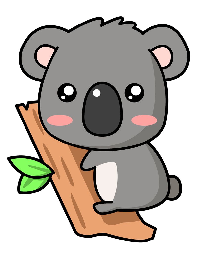 Koala Bear Cartoon Drawing At Paintingvalley Com Explore