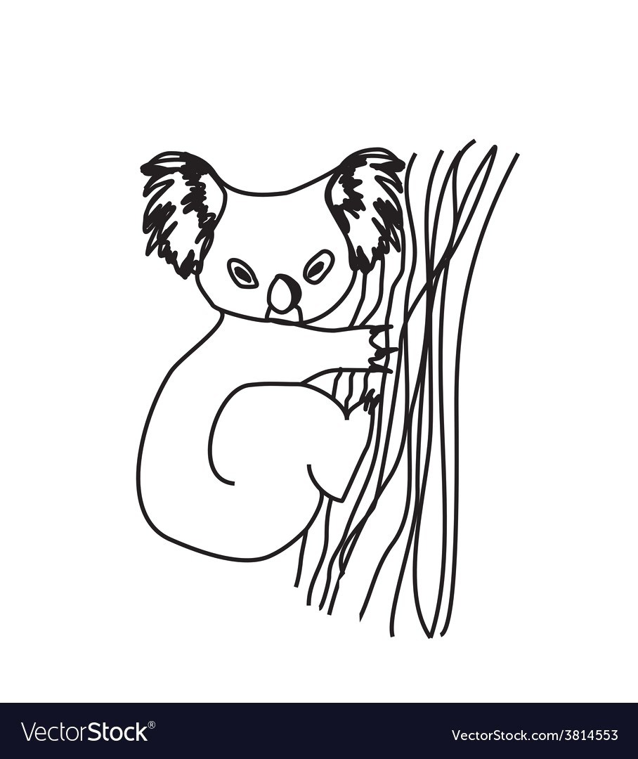 908x1080 How To Draw Head Cartoon A Koala - Koala Bear Cartoon Drawing