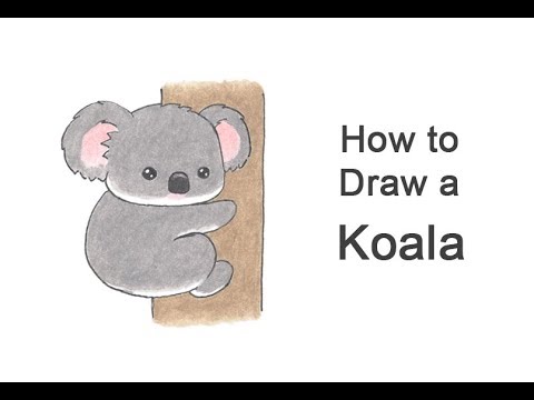 480x360 How To Draw A Koala - Koala Bear Cartoon Drawing