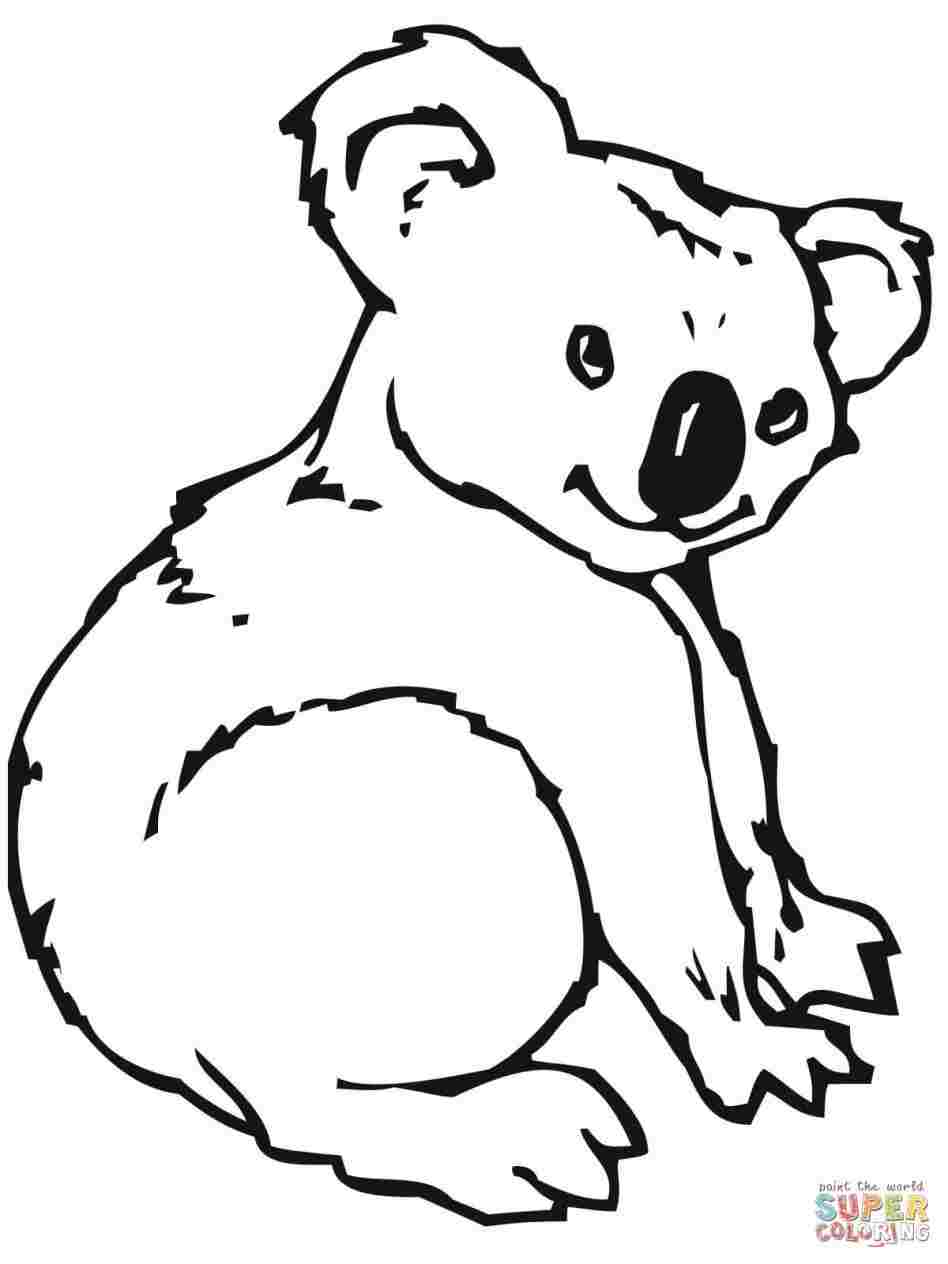 948x1264 To Draw A Cartoon Koala Bear From The Number Easy Drawing - Koala Bear Cartoon Drawing