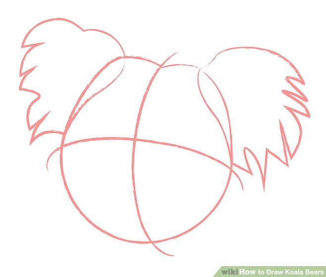 659x560 How To Draw Koala Bears Steps - Koala Bear Drawing