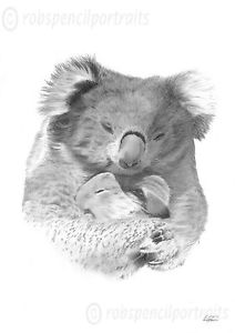 212x300 koala bear and baby joey art drawing print authentic gift - Koala Bear Drawing