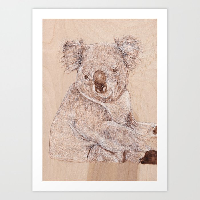 700x700 Koala Bear - Koala Bear Drawing