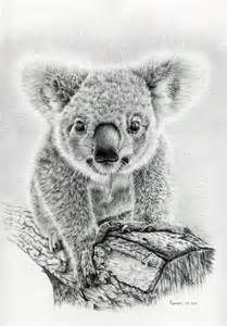 209x300 Koala Bear Drawing Animal Wildlife Art Koala Illustration - Koala Bear Drawing