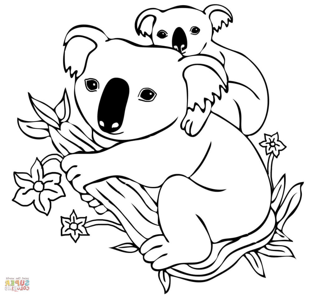1024x950 Informative Koala Pictures To Print Cartoon Drawing At Getdrawings - Koala Cartoon Drawing