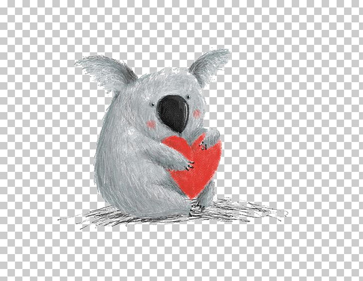 728x564 Koala Cartoon Drawing Read And Hear Edition Thoughts To Make Your - Koala Cartoon Drawing