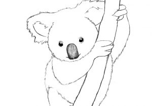 300x210 Simple Koala Drawing Cute Cartoon Koala On Tree Branch Simple - Koala Cartoon Drawing