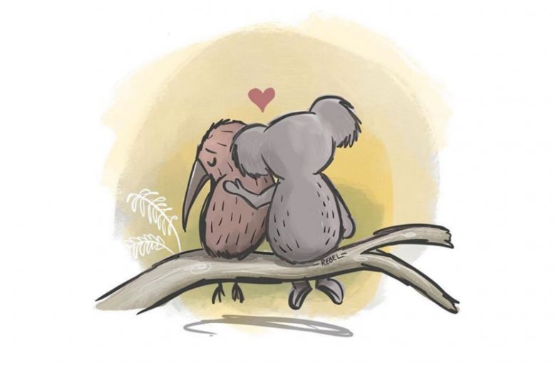 780x520 Christchurch Terror Attack Tributes That Have Been Widely - Koala Cartoon Drawing
